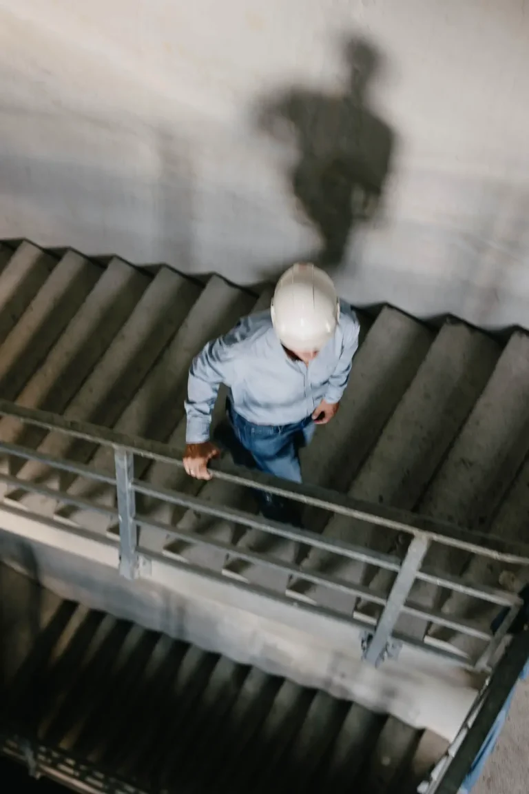 2 jqp 20240831 245.webp